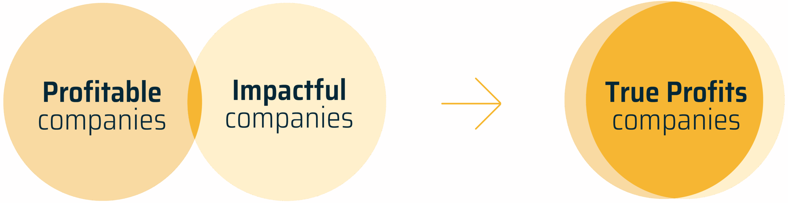 TrueProfits-visuals-04